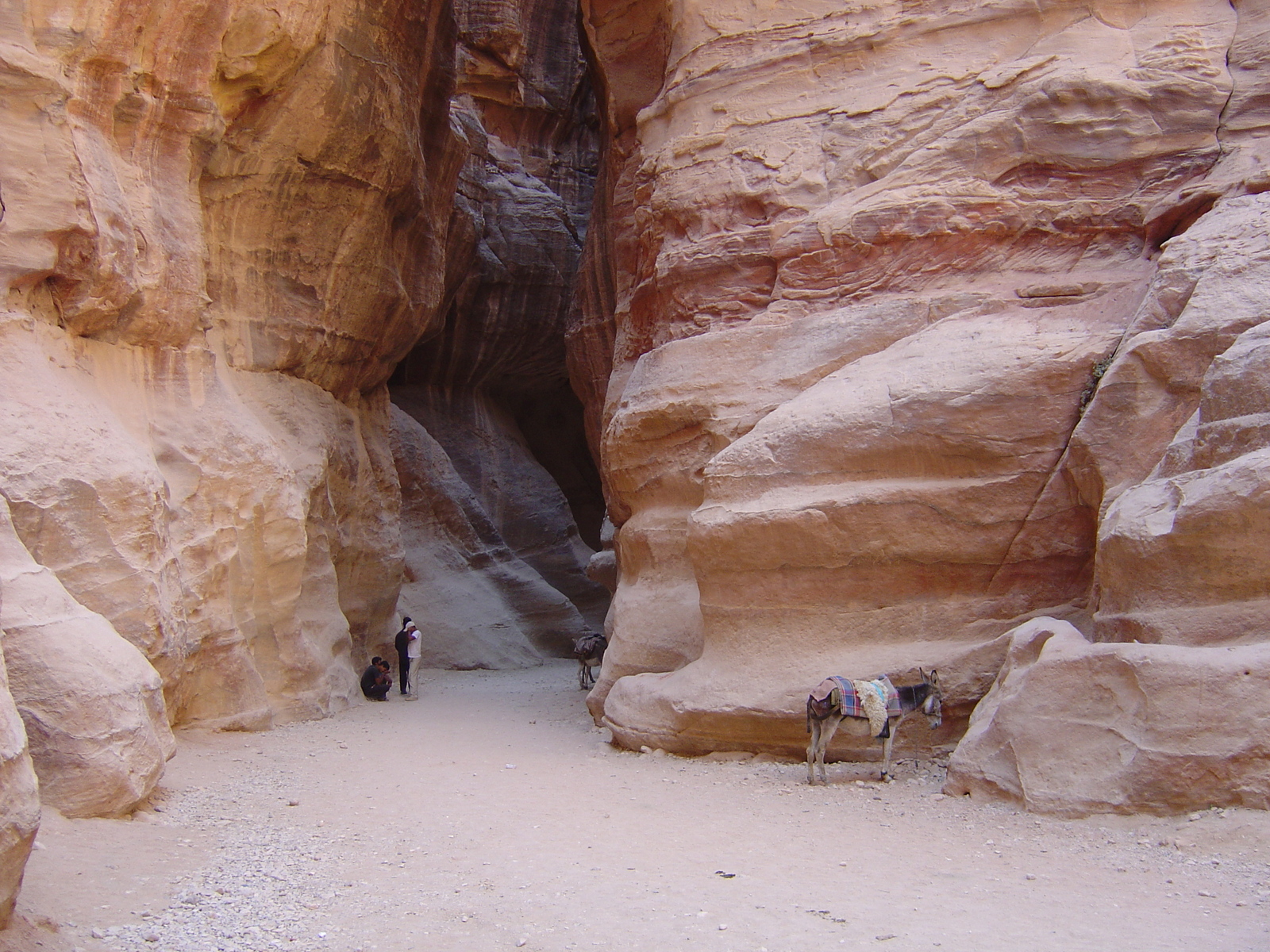 รูปถ่าย จอร์แดน(Jordan) เปตร้า(Petra) 2004-10 22