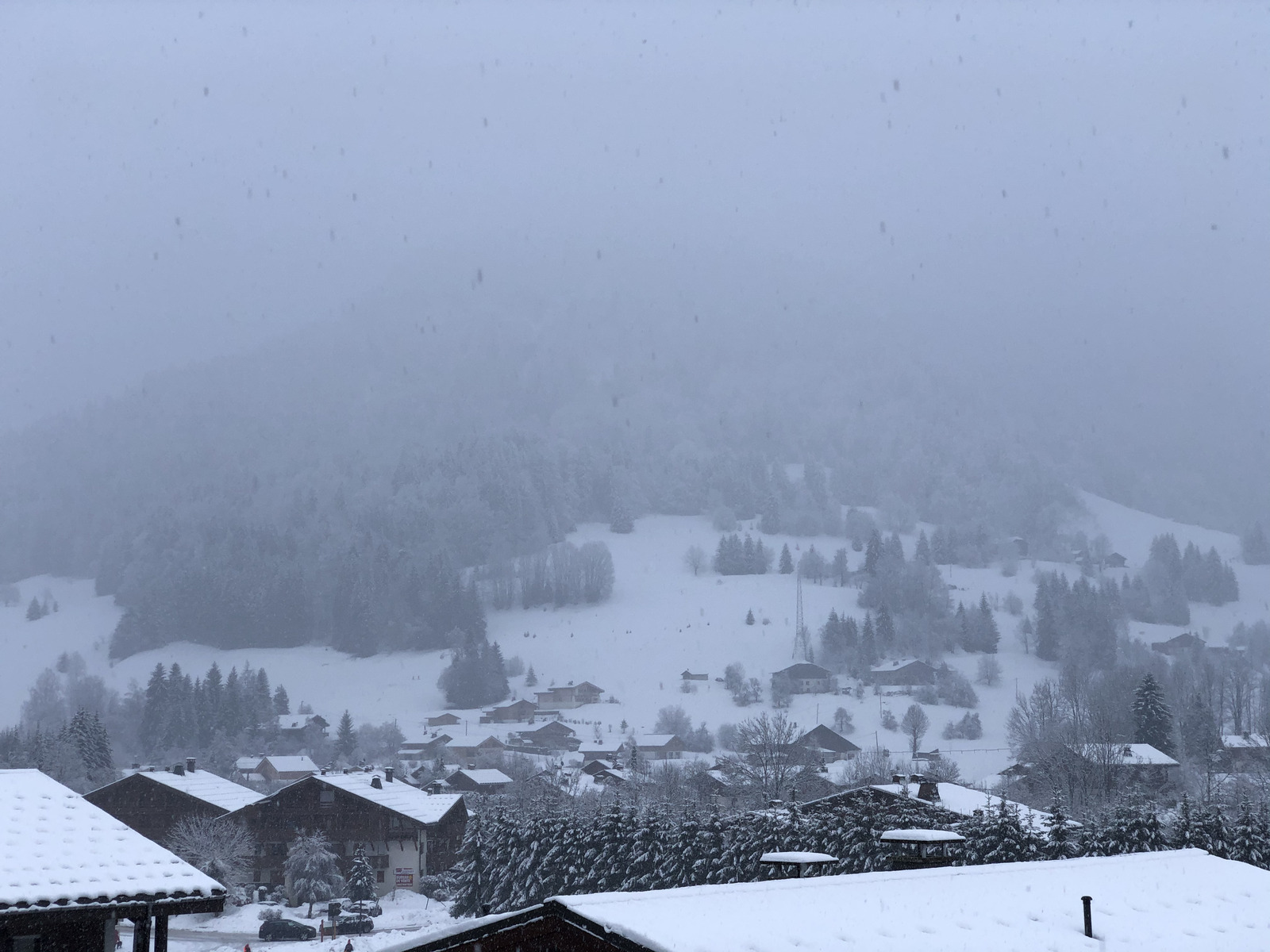 รูปถ่าย ฝรั่งเศส(France) ปรา-ซูร์-อาร์ลี(Praz sur Arly) 2019-12 369
