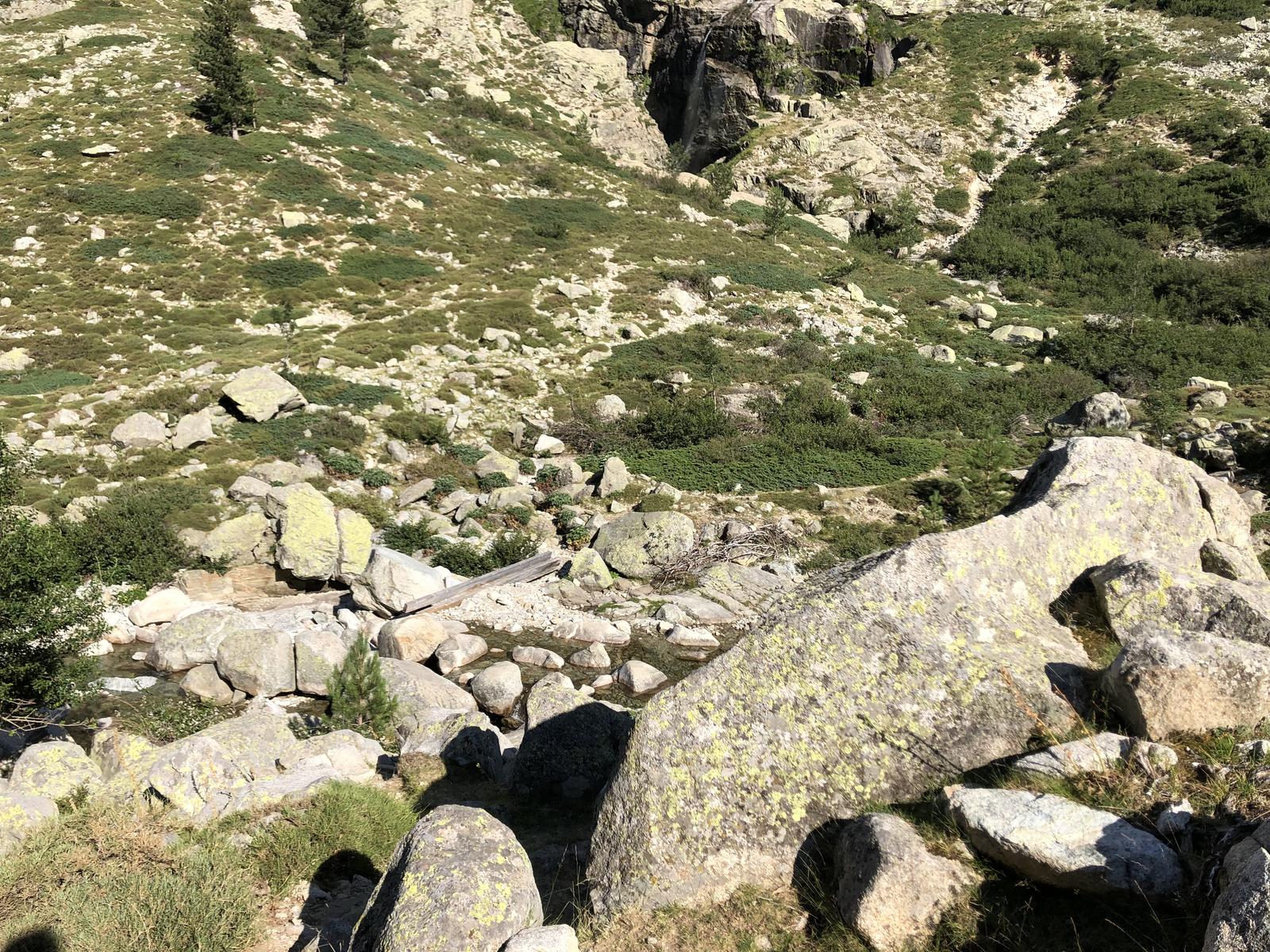 รูปถ่าย ฝรั่งเศส(France) คอร์สิคา(Corsica) หุบเขาลาเรสโตนีกา(La Restonica) 2020-07 42