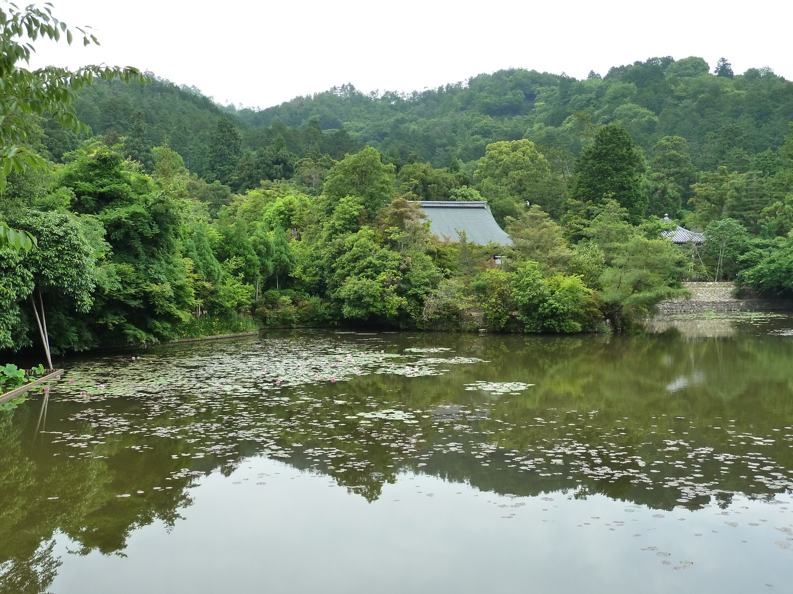 รูปถ่าย ญี่ปุ่น(Japan) เกียวโต(Kyoto) วัดเรียวอันจิ(Ryoanji Temple) 2010-06 65