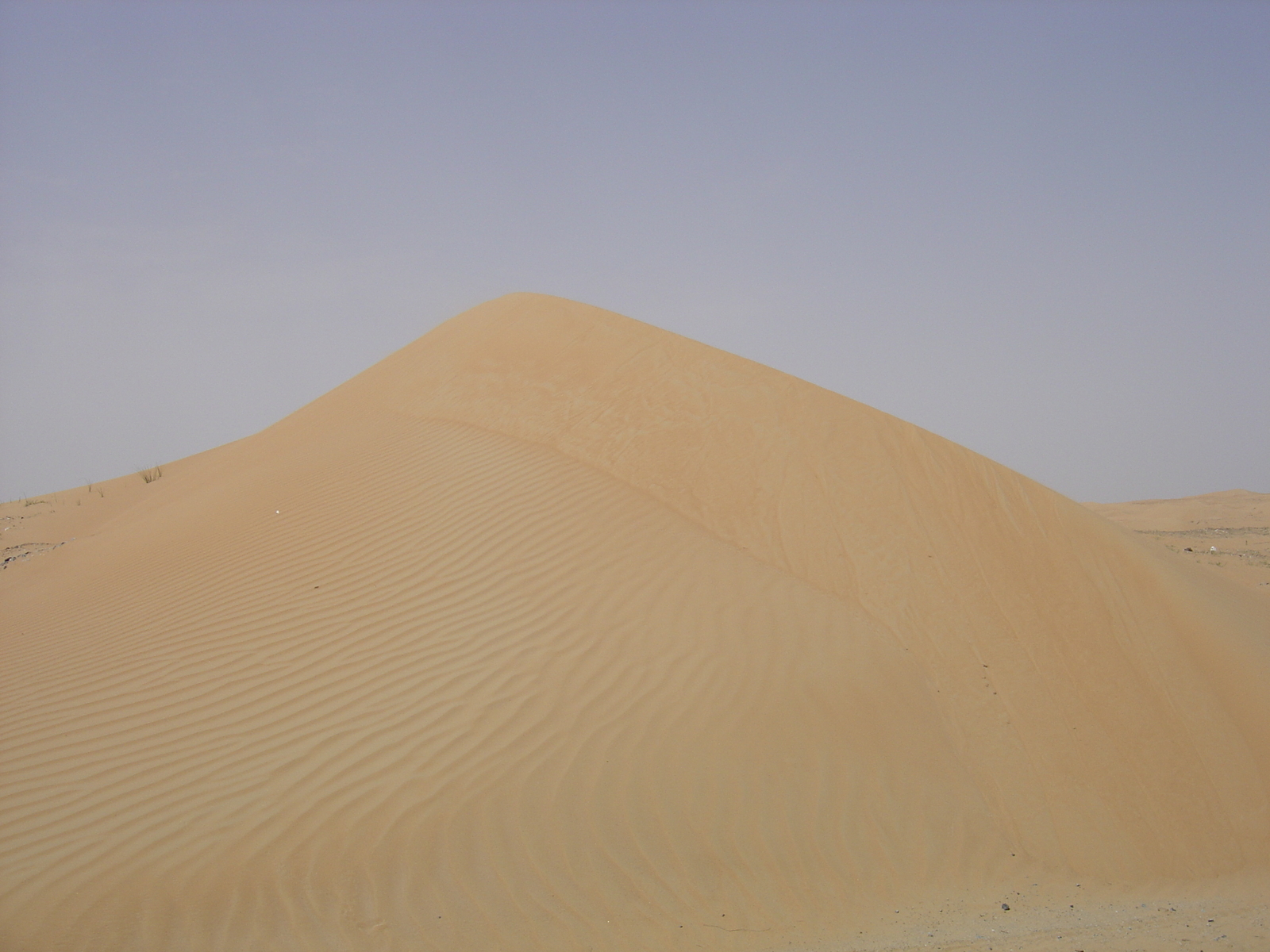 รูปถ่าย สหรัฐอาหรับเอมิเรตส์(United Arab Emirates) จากดูไบไปถนนอัลอิน(Dubai to Al Ain road) 2005-03 30