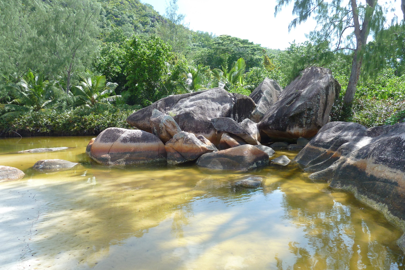 รูปถ่าย เซเชลส์(Seychelles) อ่าวอ็องส์ลาซิโอ(Anse Lazio) 2011-10 53