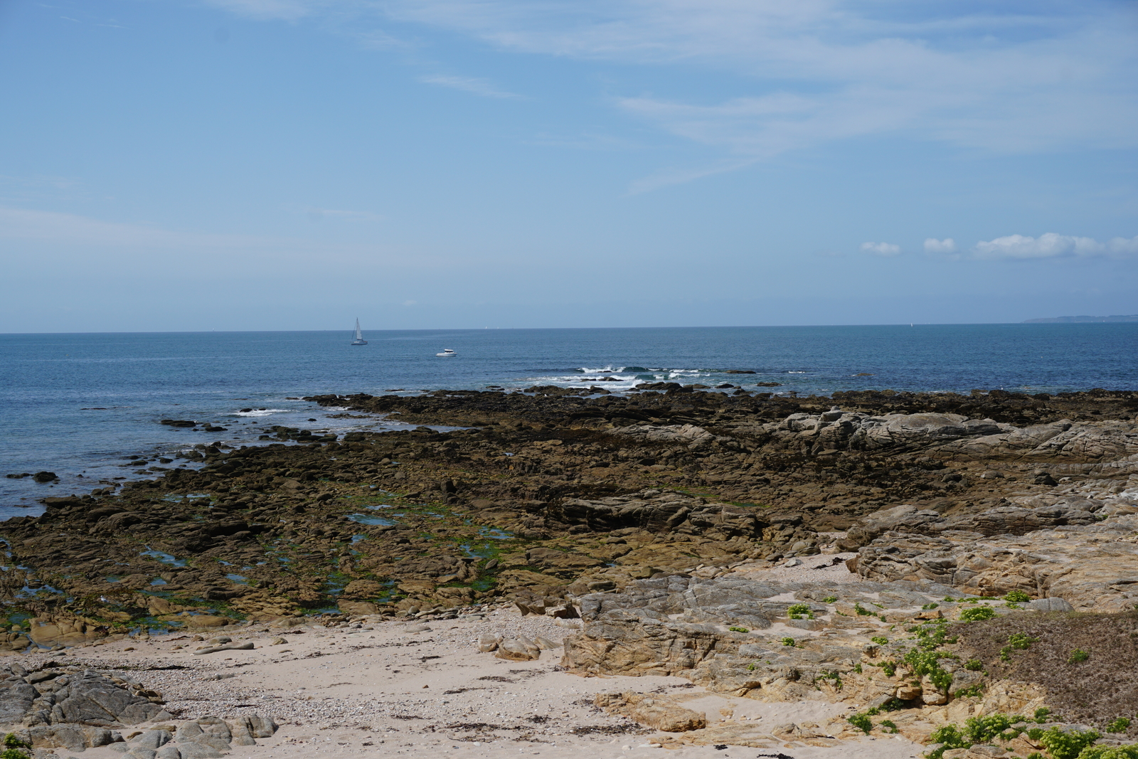 รูปถ่าย ฝรั่งเศส(France) เกาะเอดิก(Hoedic) 2016-08 74