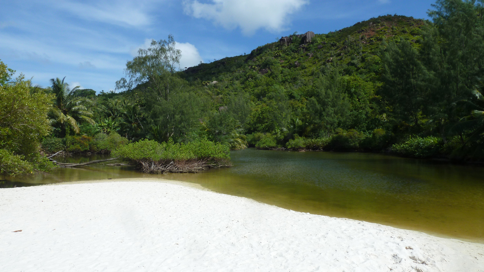 รูปถ่าย เซเชลส์(Seychelles) อ่าวอ็องส์ลาซิโอ(Anse Lazio) 2011-10 74