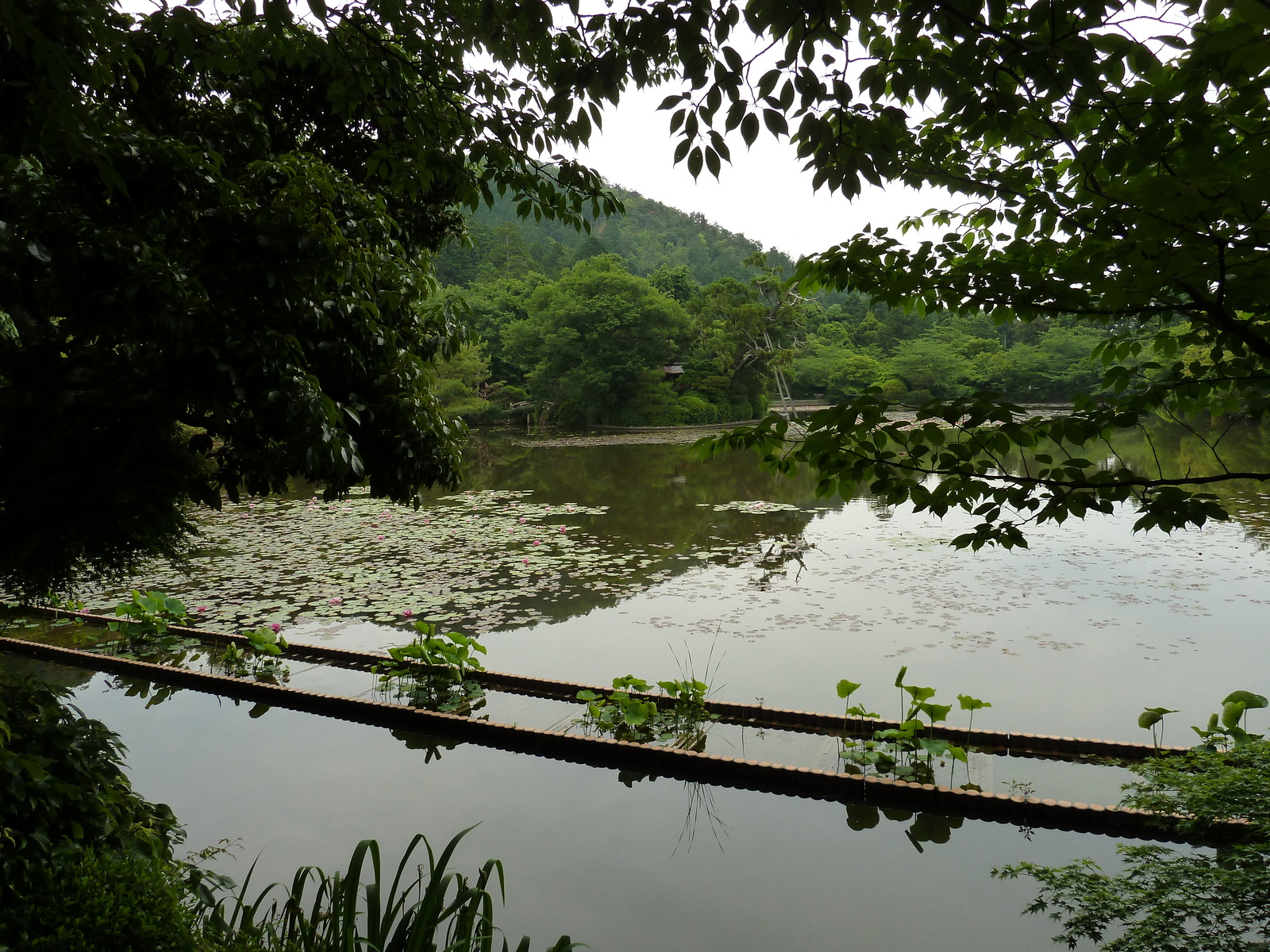 รูปถ่าย ญี่ปุ่น(Japan) เกียวโต(Kyoto) วัดเรียวอันจิ(Ryoanji Temple) 2010-06 72