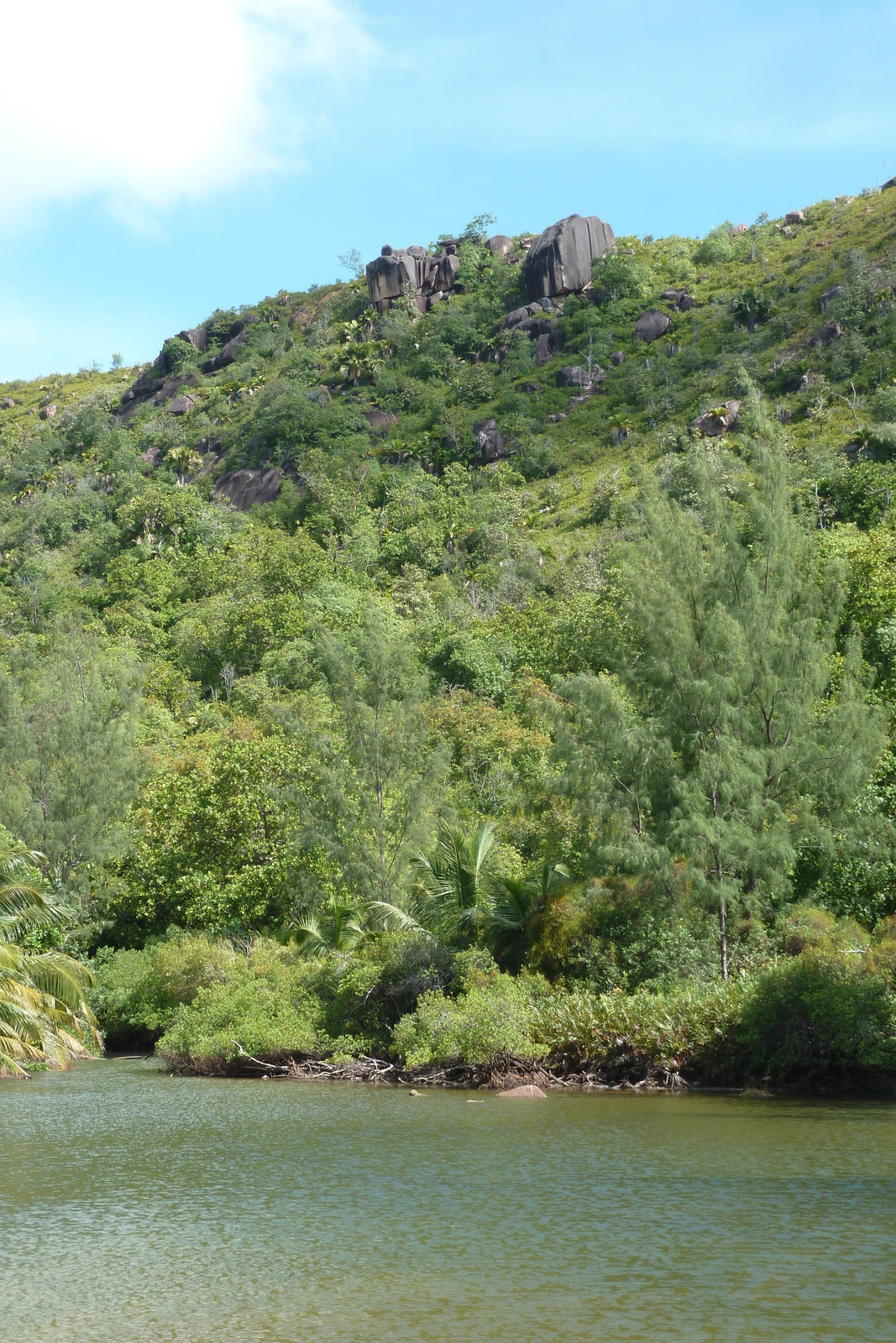 รูปถ่าย เซเชลส์(Seychelles) อ่าวอ็องส์ลาซิโอ(Anse Lazio) 2011-10 41