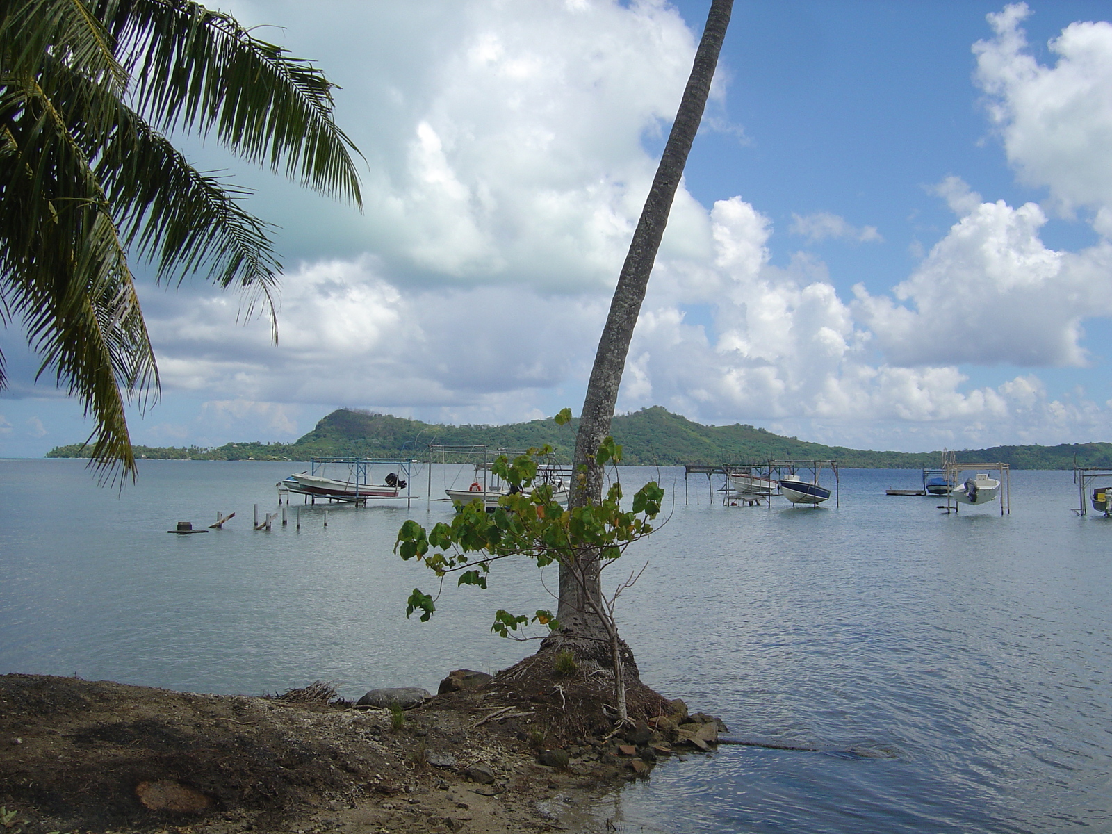 รูปถ่าย เฟรนช์โพลี่นีเซีย(Polynesia) โบราโบรา(Bora Bora) 2006-04 10