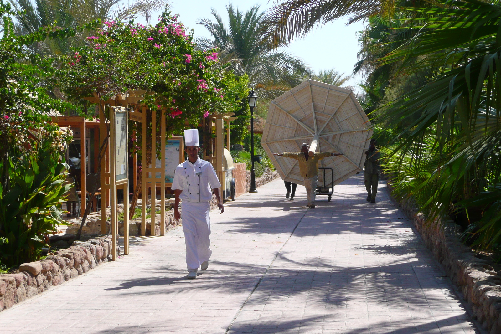 รูปถ่าย อียิปต์(Egypt) ชาร์มเอลชีค(Sharm el Sheikh) 2008-06 75