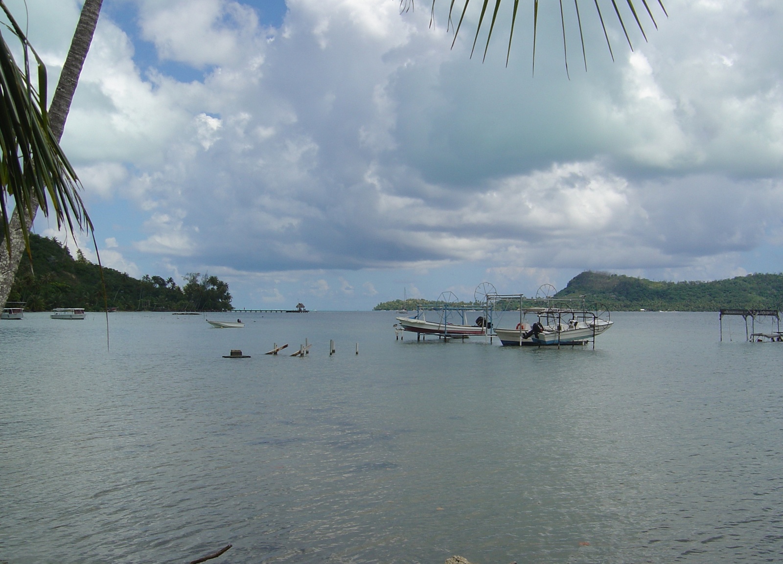 รูปถ่าย เฟรนช์โพลี่นีเซีย(Polynesia) โบราโบรา(Bora Bora) 2006-04 139