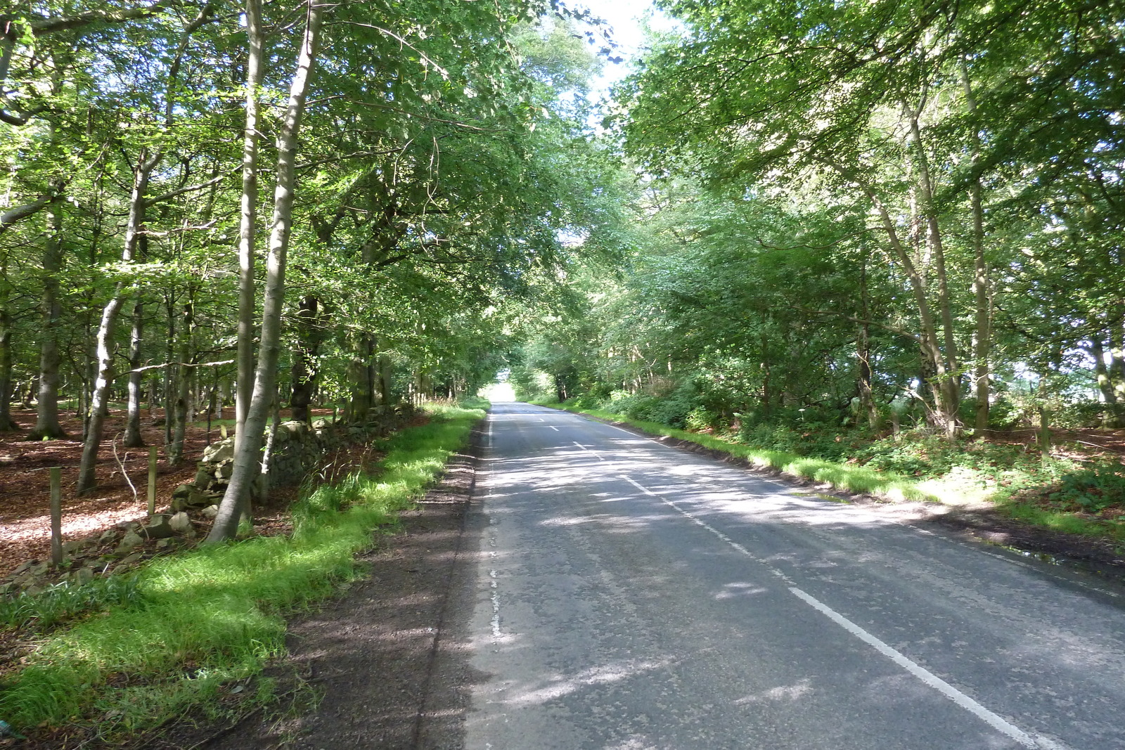 รูปถ่าย อังกฤษ(United Kingdom) สกอตแลนด์(Scotland) แบนฟ์(Banff) 2011-07 5