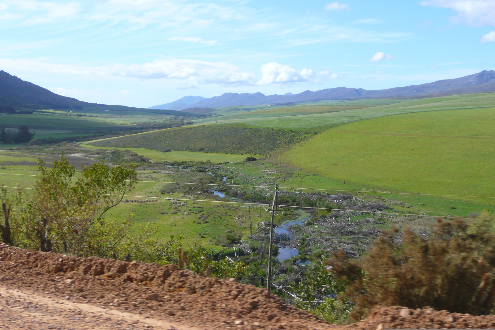 รูปถ่าย แอฟริกาใต้(South Africa) ถนนจากเฮอร์มานัสไปไนส์นา(Harmanus to Knysna road) 2008-09 13