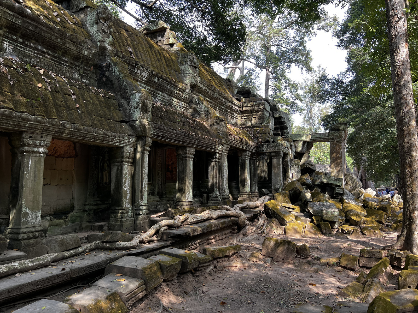 รูปถ่าย กัมพูชา(Cambodia) เสียมราฐ(Siem Reap) ปราสาทตาพรหม(Ta Prohm) 2023-01 34