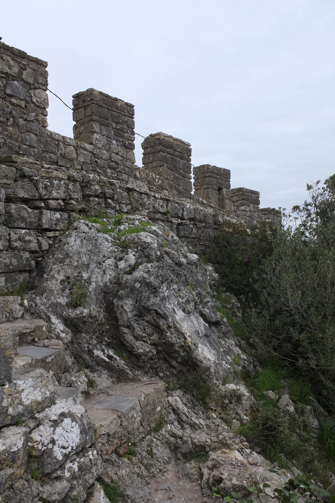 รูปถ่าย โปรตุเกส(Portugal) โอบีโดส(Obidos) 2013-01 29