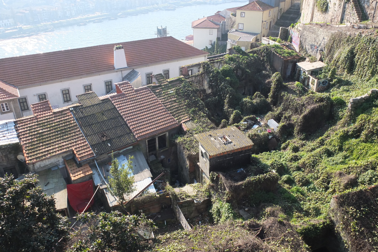 รูปถ่าย โปรตุเกส(Portugal) ปอร์โต(Porto) 2013-01 29