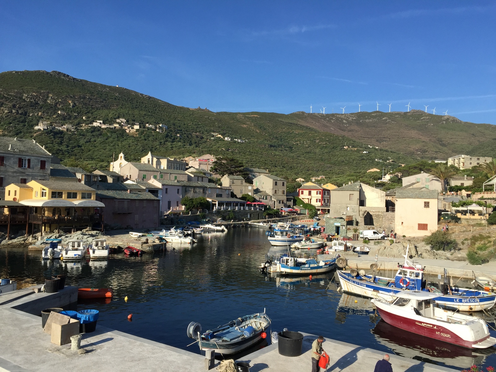 รูปถ่าย ฝรั่งเศส(France) คอร์สิคา(Corsica) เซนตูรี(Centuri) 2015-05 8