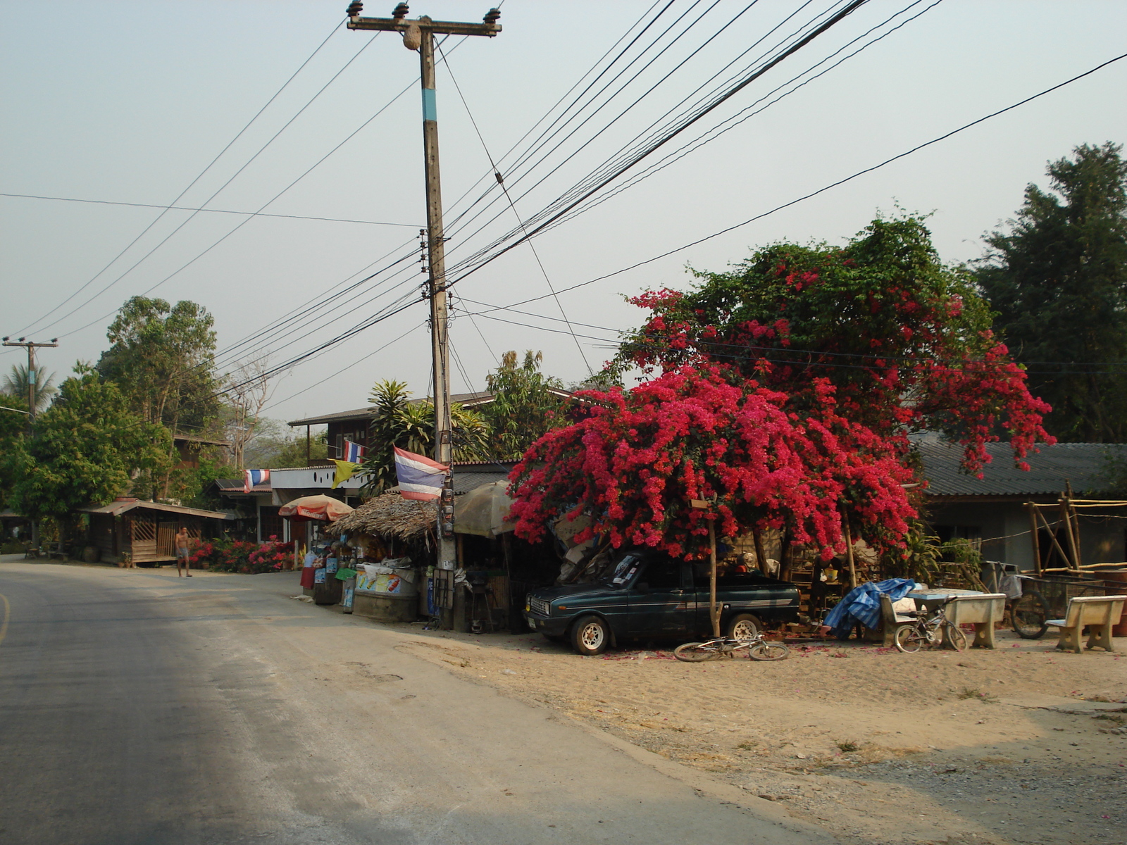 รูปถ่าย ไทย(Thailand) ถนนจากเชียงใหม่ไปปาย(Chiang Mai to Pai road) 2007-02 150