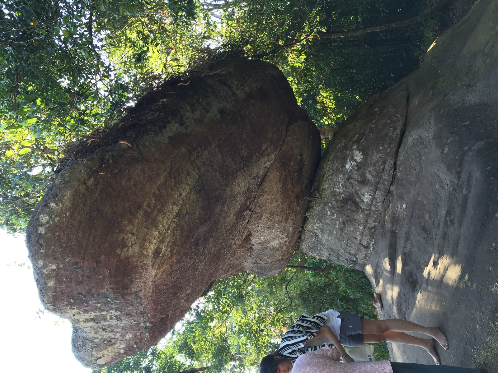 รูปถ่าย ไทย(Thailand) อุทยานแห่งชาติภูหินร่องกล้า(Phu Hin Rong Kla National Park) 2014-12 144