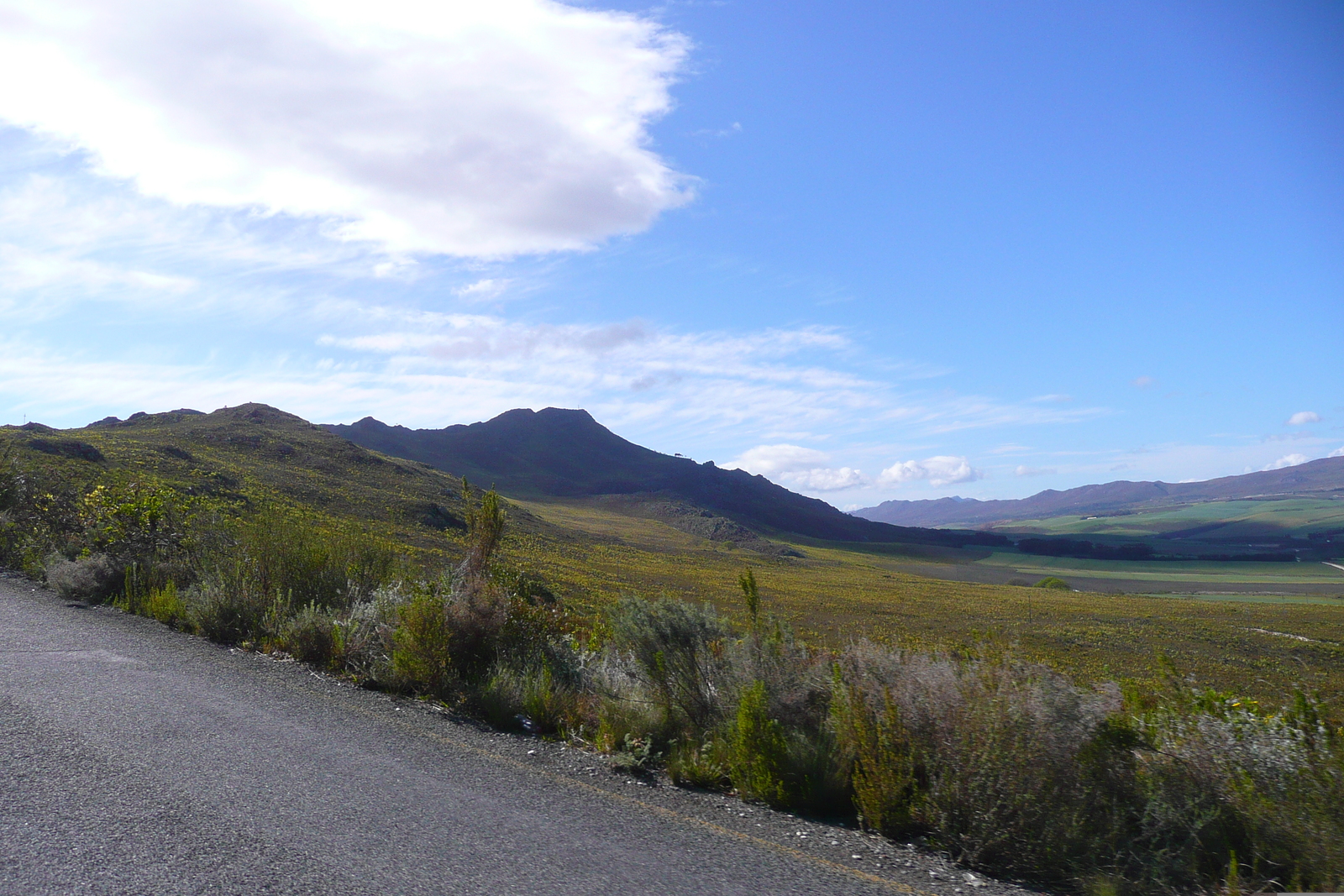รูปถ่าย แอฟริกาใต้(South Africa) ถนนจากเฮอร์มานัสไปไนส์นา(Harmanus to Knysna road) 2008-09 14