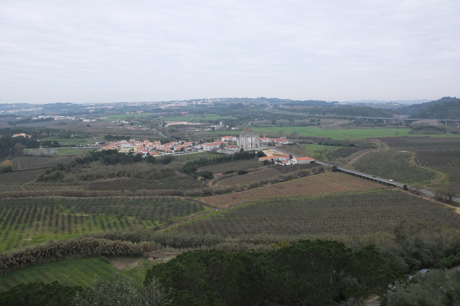 รูปถ่าย โปรตุเกส(Portugal) โอบีโดส(Obidos) 2013-01 98