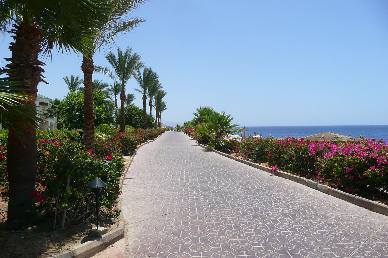 รูปถ่าย อียิปต์(Egypt) ชาร์มเอลชีค(Sharm el Sheikh) โรงแรมไฮแอต(Hyatt Hotel) 2008-06 55