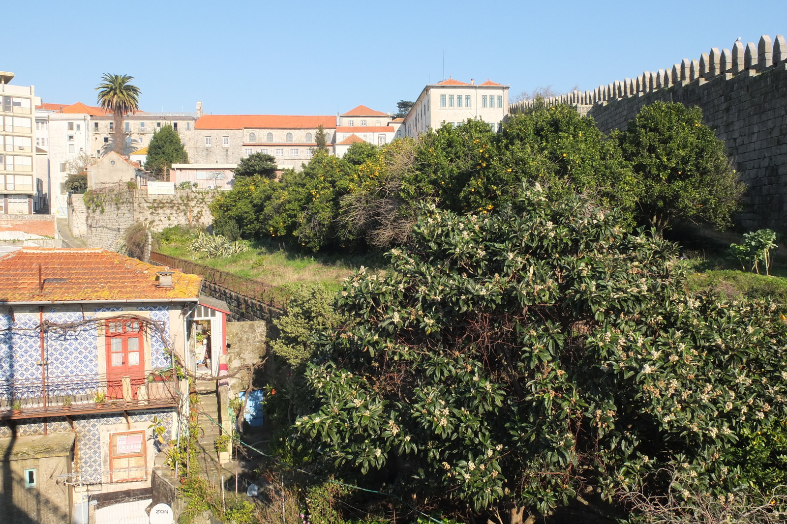 รูปถ่าย โปรตุเกส(Portugal) ปอร์โต(Porto) 2013-01 28