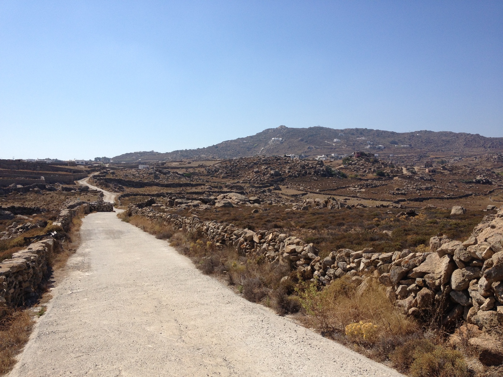รูปถ่าย กรีก(Greece) เกาะมิโคนอส(Mykonos) 2014-07 13
