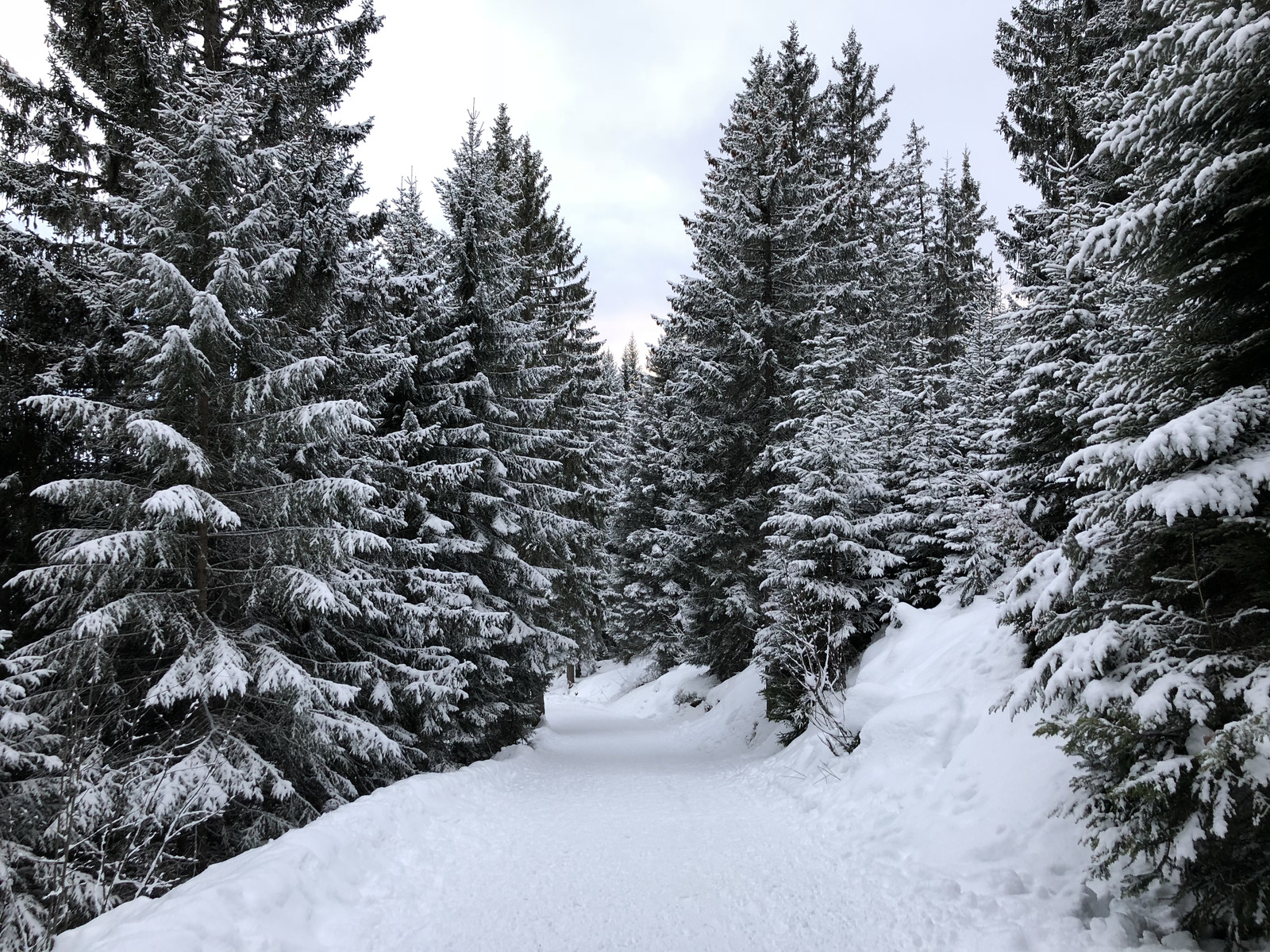 รูปถ่าย ฝรั่งเศส(France) ลากลูซา(La Clusaz) 2017-12 286