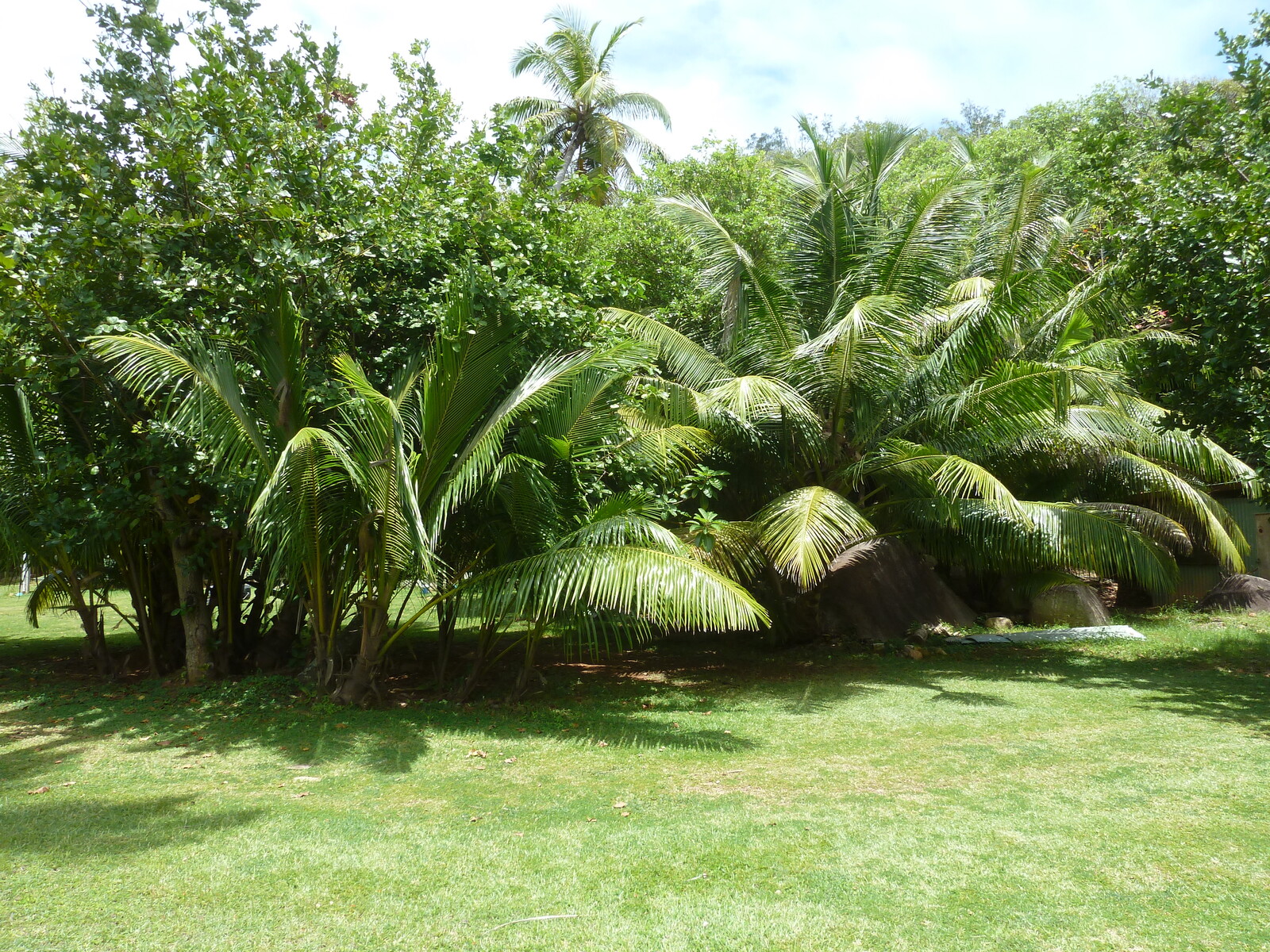 รูปถ่าย เซเชลส์(Seychelles) เกาะกร็องด์เซอร์(Grande Soeur) 2011-10 110