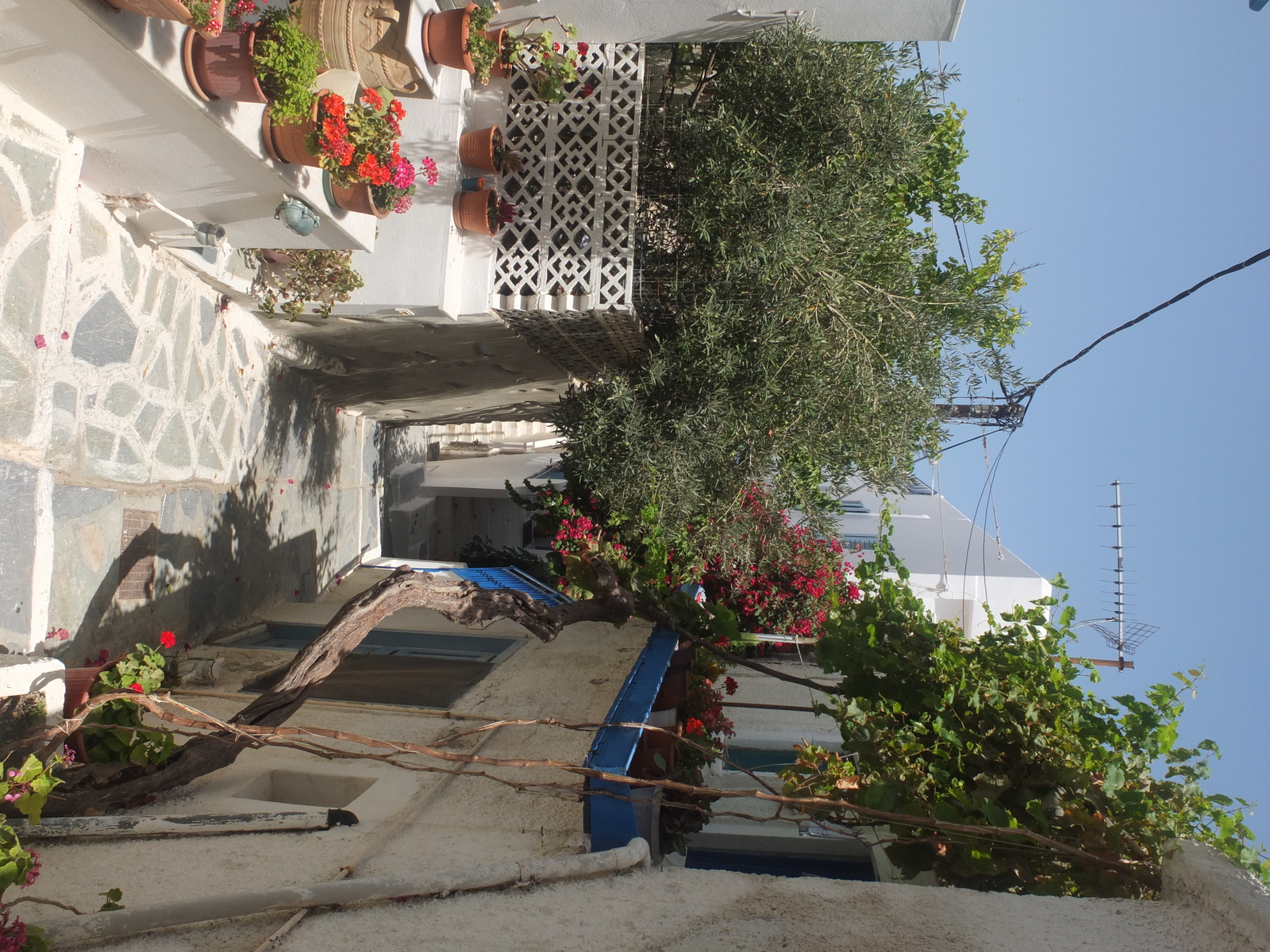 รูปถ่าย กรีก(Greece) เกาะนักซอส(Naxos) 2014-07 66