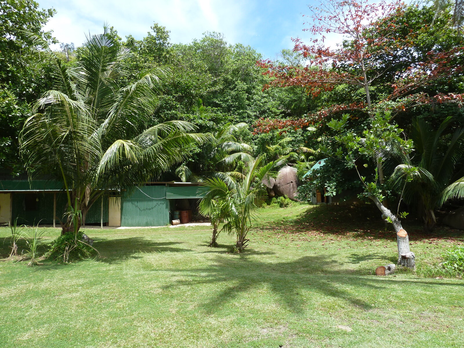รูปถ่าย เซเชลส์(Seychelles) เกาะกร็องด์เซอร์(Grande Soeur) 2011-10 86