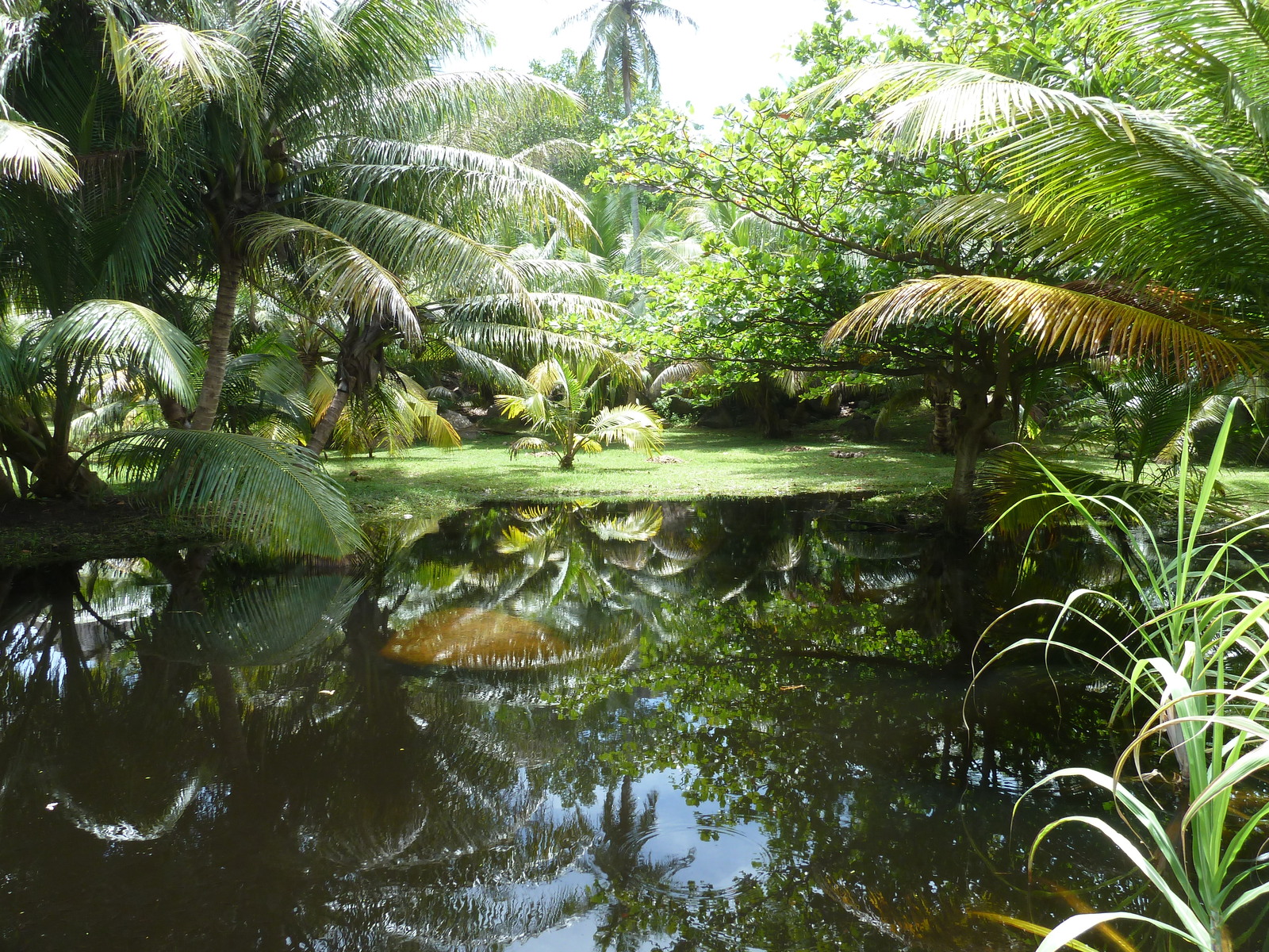 รูปถ่าย เซเชลส์(Seychelles) เกาะกร็องด์เซอร์(Grande Soeur) 2011-10 20