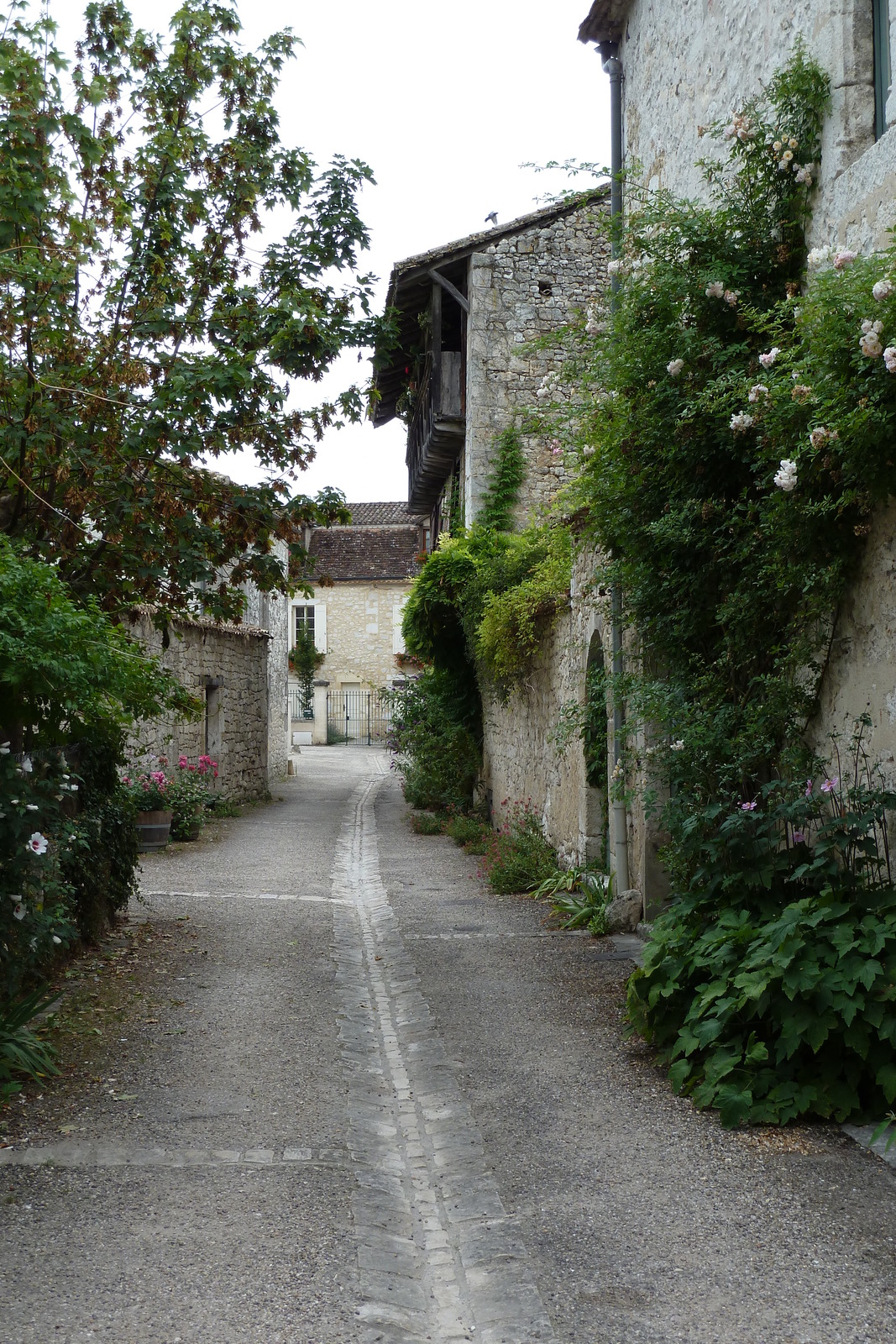 รูปถ่าย ฝรั่งเศส(France) อีซีฌัก(Issigeac) 2010-08 30