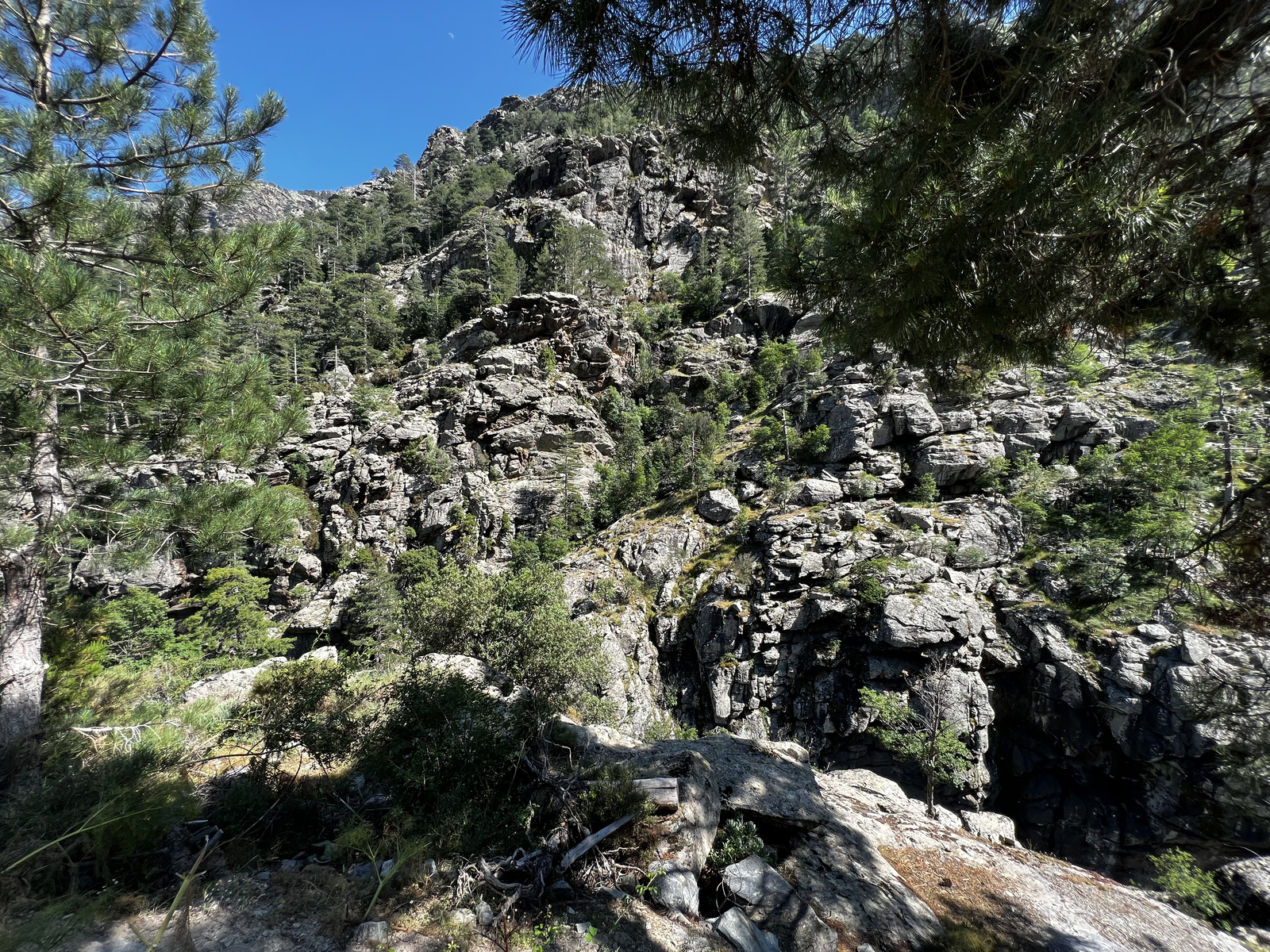 รูปถ่าย ฝรั่งเศส(France) คอร์สิคา(Corsica) อัสโก(Asco) 2023-06 29