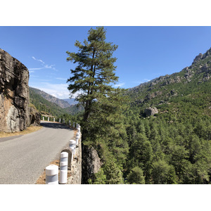 รูปถ่าย ฝรั่งเศส(France) คอร์สิคา(Corsica) หุบเขาลาเรสโตนีกา(La Restonica) 2020-07 60
