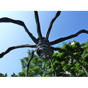 รูปถ่าย ญี่ปุ่น(Japan) โตเกียว(Tokyo) รปปงงิฮิลส์(Roppongi Hills) 2010-06 25