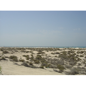 รูปถ่าย สหรัฐอาหรับเอมิเรตส์(United Arab Emirates) ดูไบ(Dubai) หาดจุมัยเราะห์(Jumeirah Beach) 2005-03 9