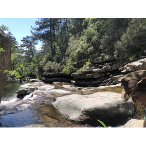 รูปถ่าย ฝรั่งเศส(France) คอร์สิคา(Corsica) ป่าไอโตเน(Aitone Forest) 2021-06 30