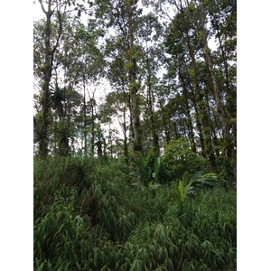 รูปถ่าย คอสตาริกา(Costa Rica) จากลีมอนไปซีกีร์เรส(Limon to Siquirres) 2015-03 22