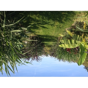รูปถ่าย ฝรั่งเศส(France) ปารีส(Paris) สวนพันธ์ุพืช(Jardin des Plantes) 2014-09 26