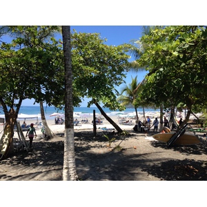 รูปถ่าย คอสตาริกา(Costa Rica) มานวยล์อันโตนีโอ(Manuel Antonio) 2015-03 401