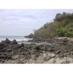 รูปถ่าย คอสตาริกา(Costa Rica) มอนเตซูมา(Montezuma) 2015-03 445