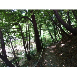 รูปถ่าย ญี่ปุ่น(Japan) โตเกียว(Tokyo) สวนชิบะ(Shiba Park) 2010-06 60