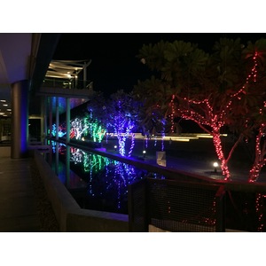 รูปถ่าย ไทย(Thailand) โรงแรมแมริออท ระยอง(Marriott Rayong) 2016-01 185