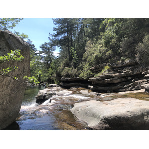 รูปถ่าย ฝรั่งเศส(France) คอร์สิคา(Corsica) ป่าไอโตเน(Aitone Forest) 2021-06 42