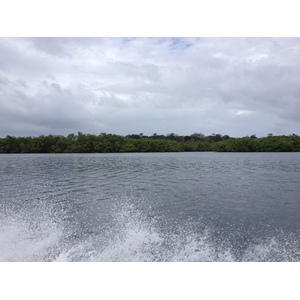 รูปถ่าย ปานามา(Panama) จากดาบิดไปโบกัสเดลโตโร(David to Bocas del toro) 2015-03 94