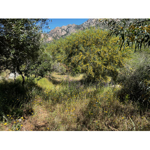 รูปถ่าย ฝรั่งเศส(France) คอร์สิคา(Corsica) หาดอาโรเน(Arone Beach) 2023-05 19