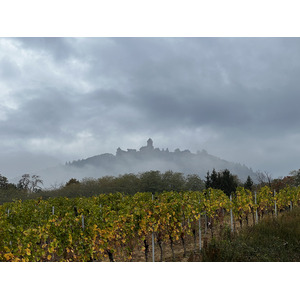 รูปถ่าย ฝรั่งเศส(France) ปราสาทโอ-เคอนิกส์บูร์ก(Koenigsbourg Castle) 2023-10 20