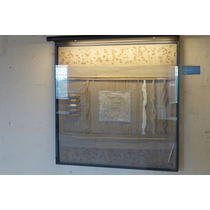 รูปถ่าย ฝรั่งเศส(France) ปราสาทมงโซโร(Montsoreau Castle) 2011-05 220