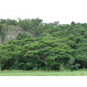 รูปถ่าย ฟิจิ(Fiji) ถนนจากนาดีไปเลาโตกา(Nadi to Lautoka road) 2010-05 14