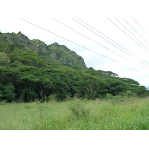 รูปถ่าย ฟิจิ(Fiji) ถนนจากนาดีไปเลาโตกา(Nadi to Lautoka road) 2010-05 13